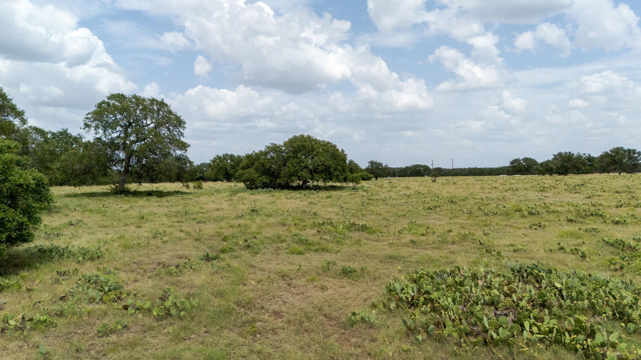 Lot 106 N Waterbuck Way, Lampasas, TX 76550