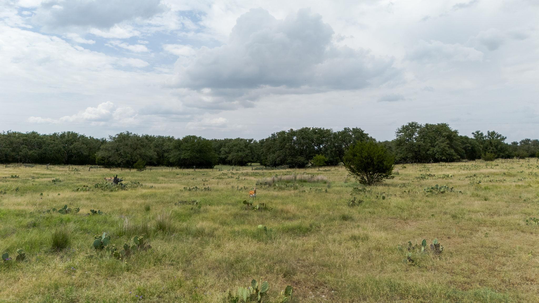 Lot 106 N Waterbuck Way, Lampasas, TX 76550
