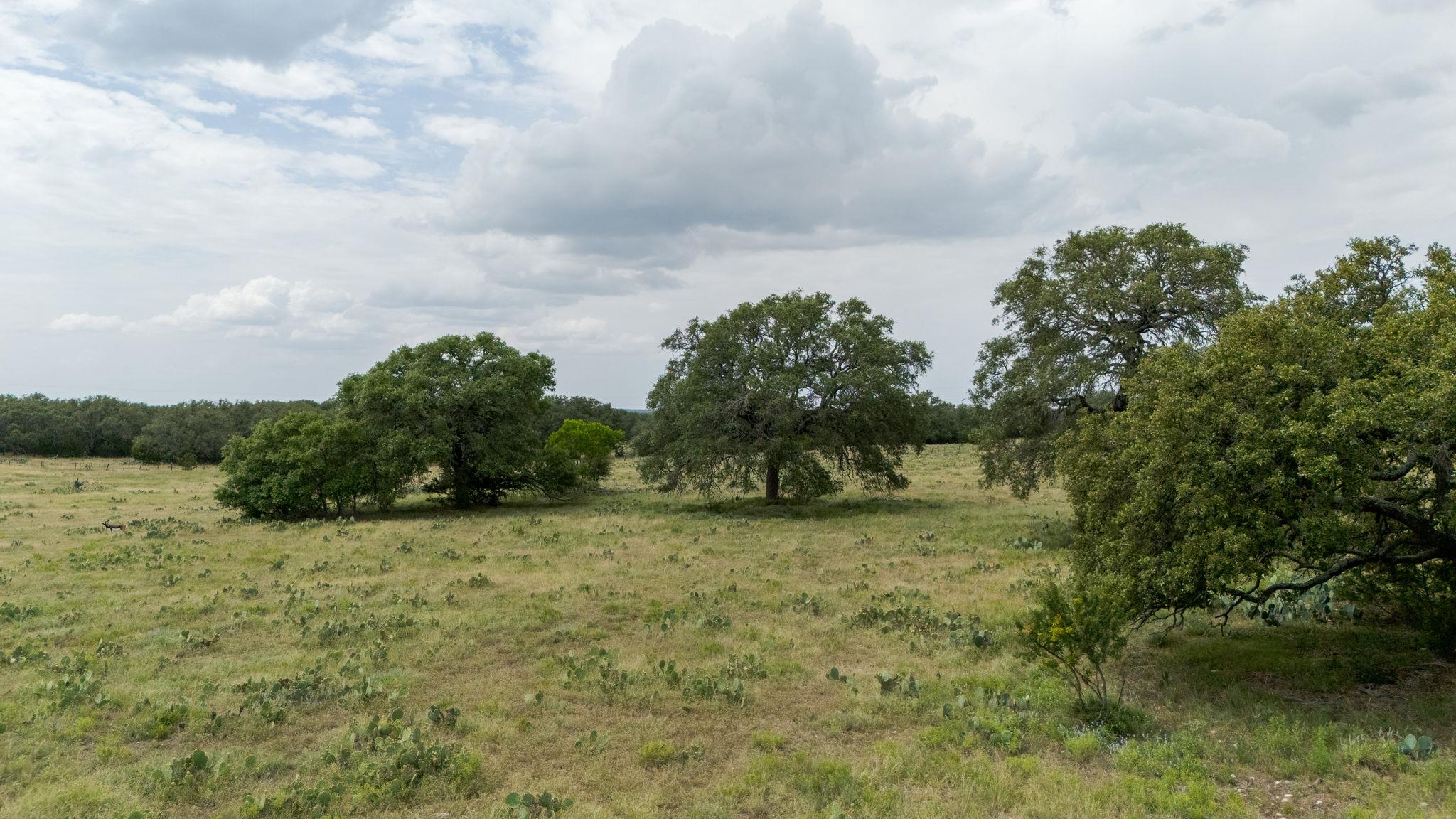 Lot 106 N Waterbuck Way, Lampasas, TX 76550