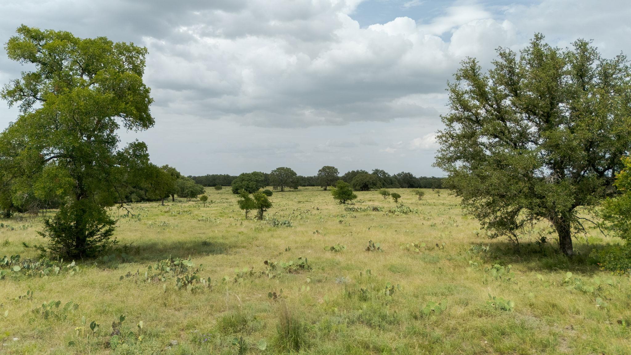 Lot 110 Kudu Ct, Lampasas, TX 76550