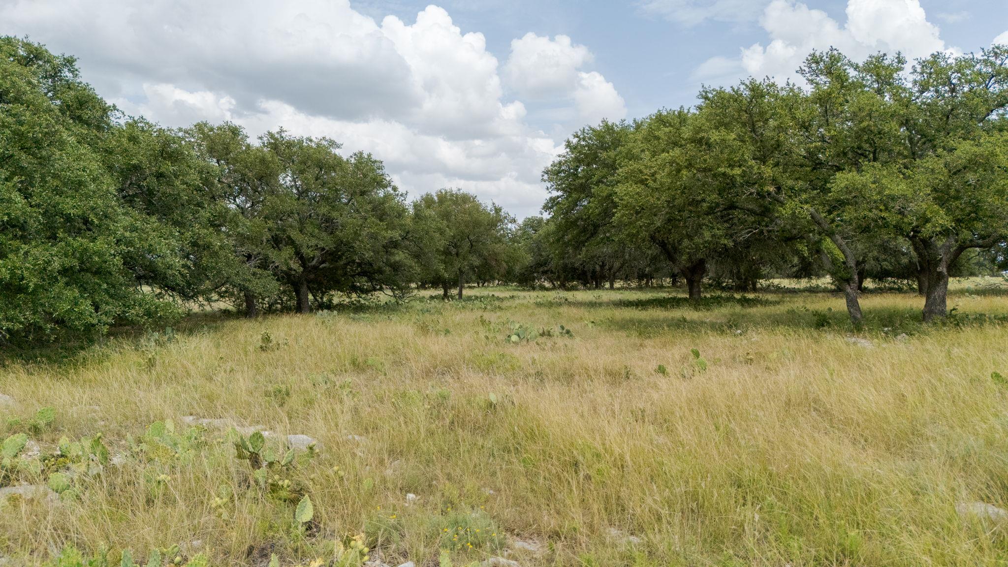 Lot 110 Kudu Ct, Lampasas, TX 76550
