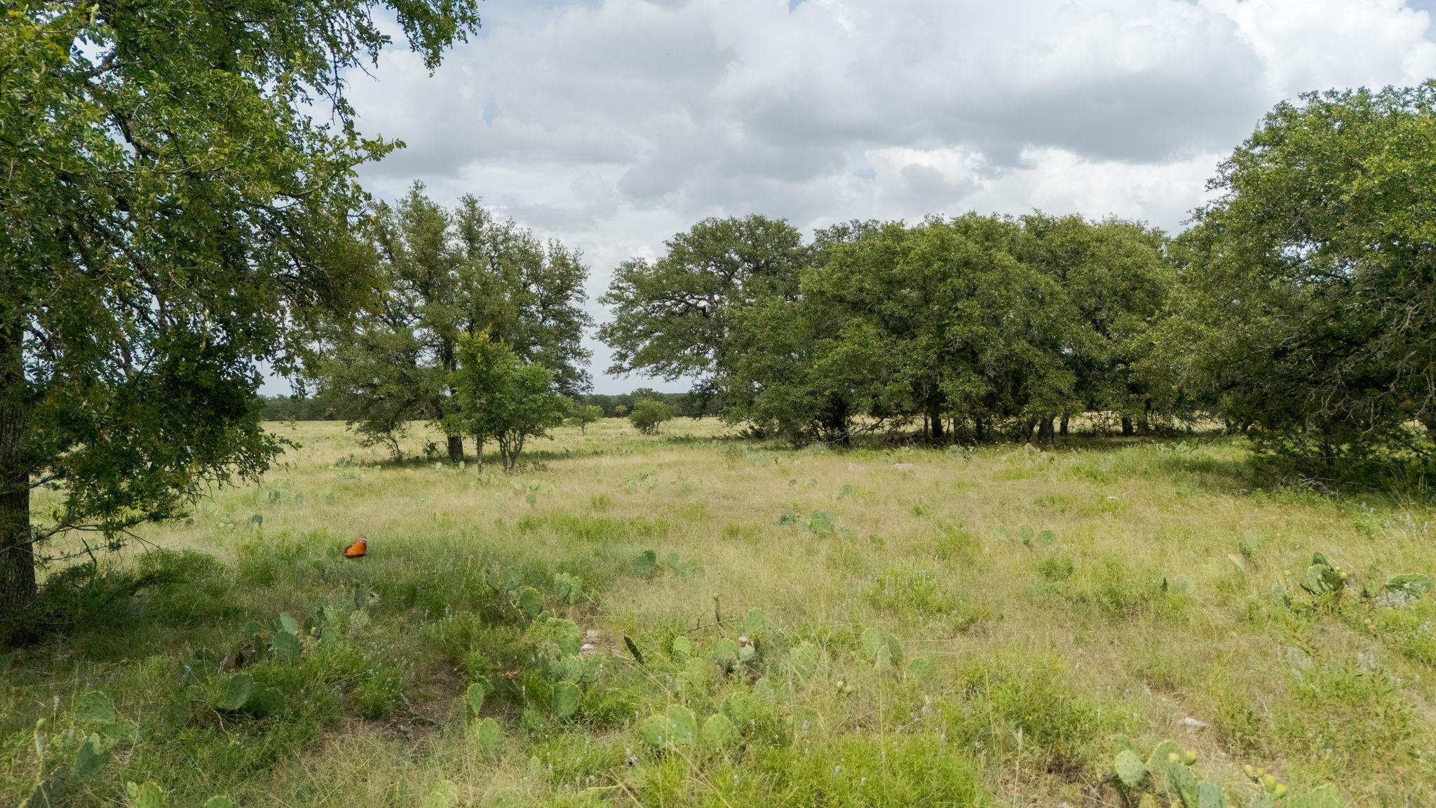 Lot 110 Kudu Ct, Lampasas, TX 76550