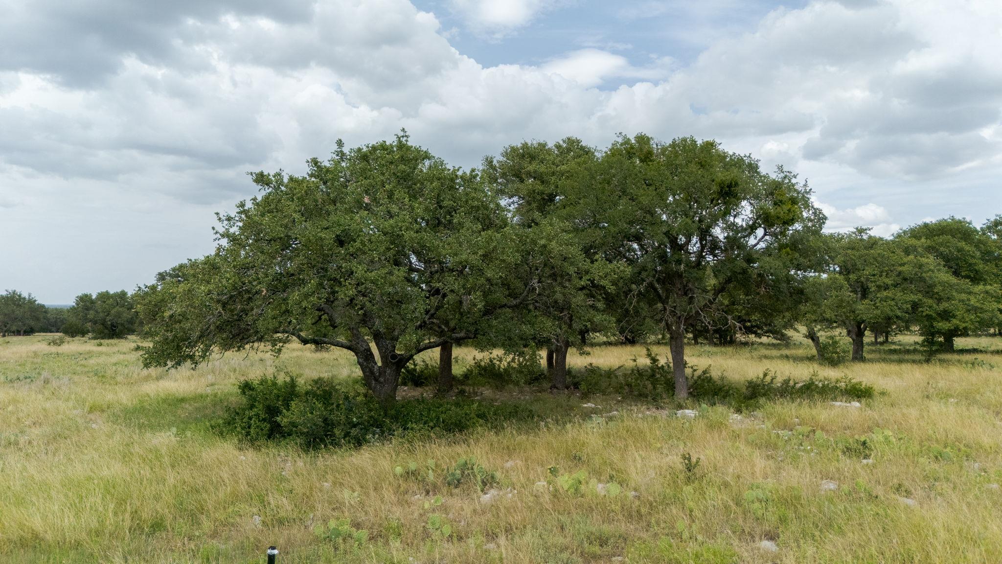 Lot 110 Kudu Ct, Lampasas, TX 76550