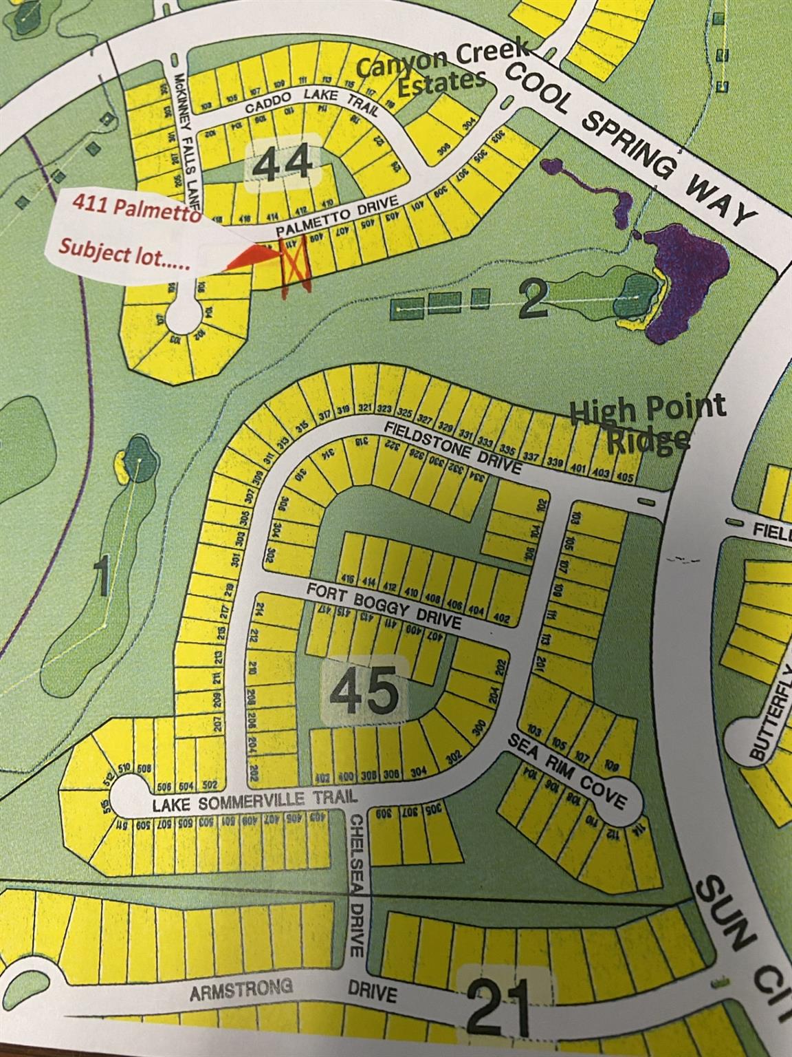411 Palmetto Dr, Georgetown, TX 78633