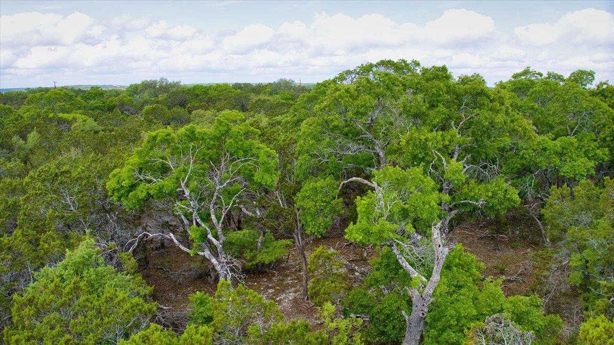 24369 Round Mountain Rd # 6, Leander, TX 78641