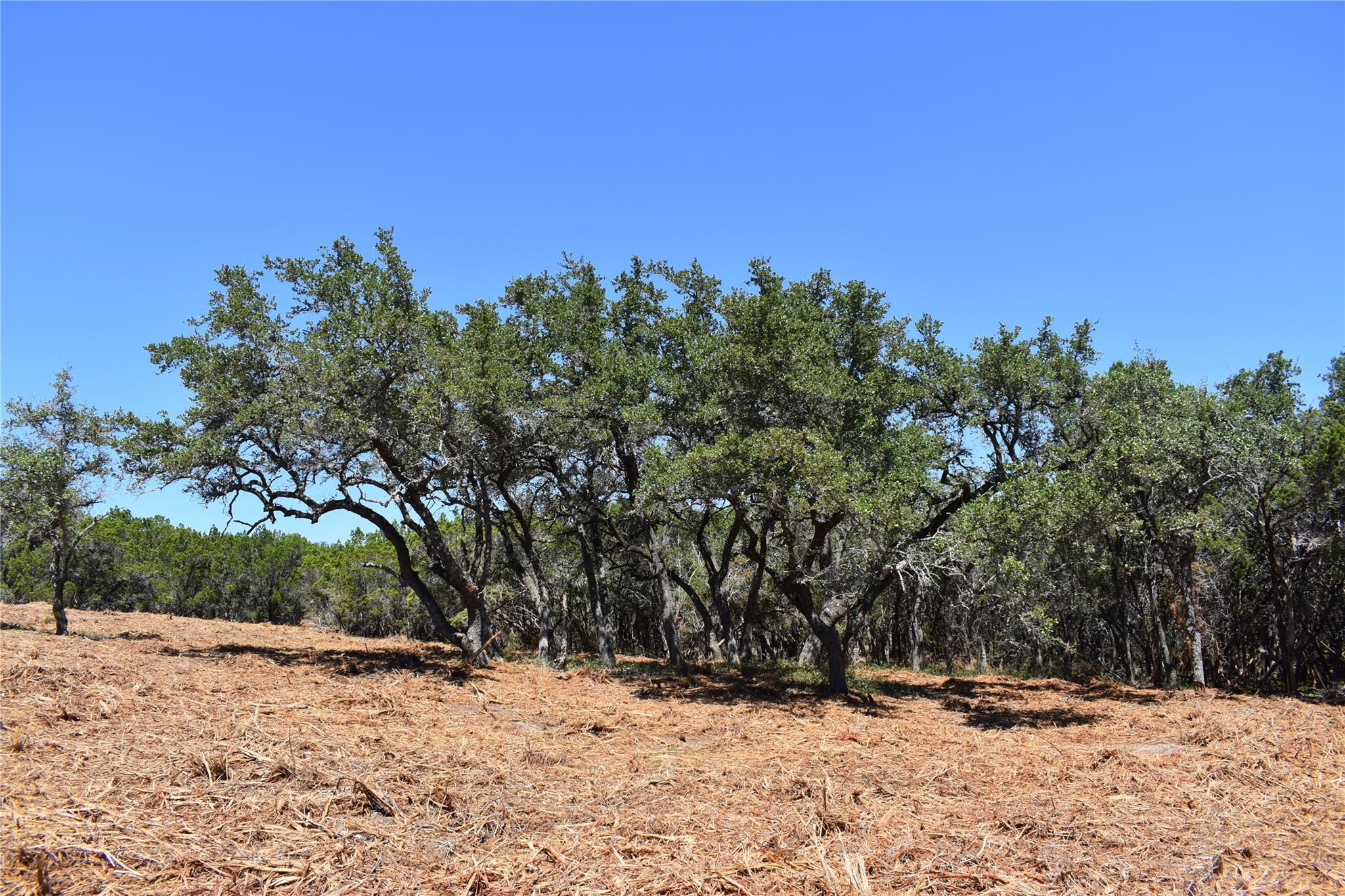 24369 Round Mountain Rd # 6, Leander, TX 78641