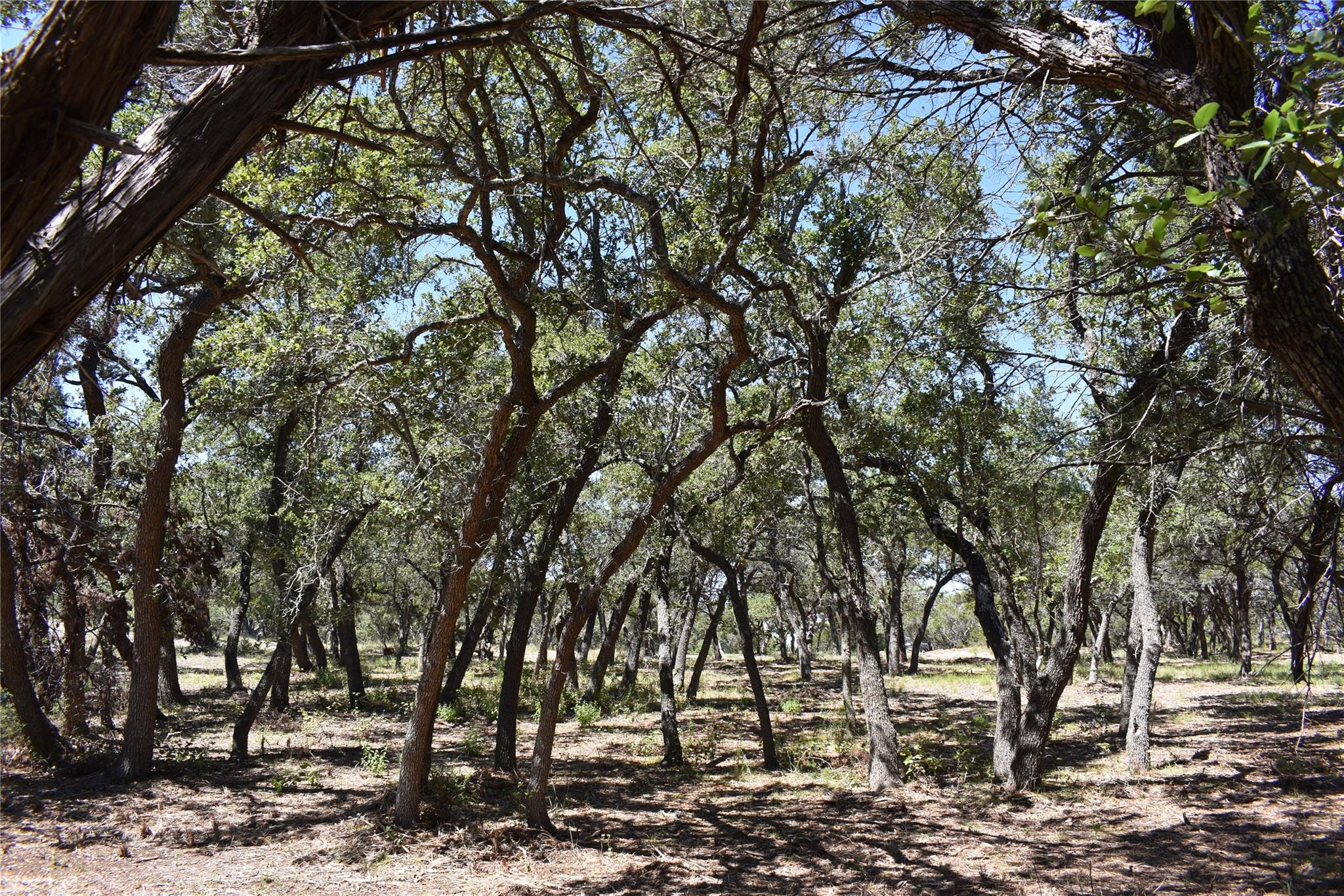 24369 Round Mountain Rd # 6, Leander, TX 78641