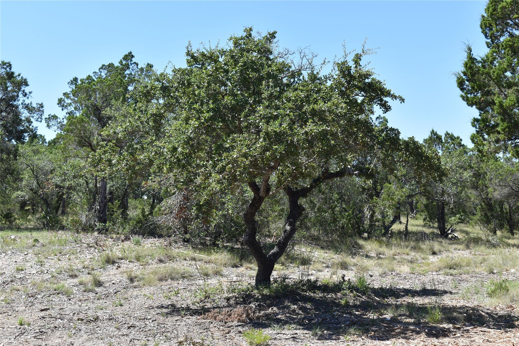 24369 Round Mountain Rd # 6, Leander, TX 78641