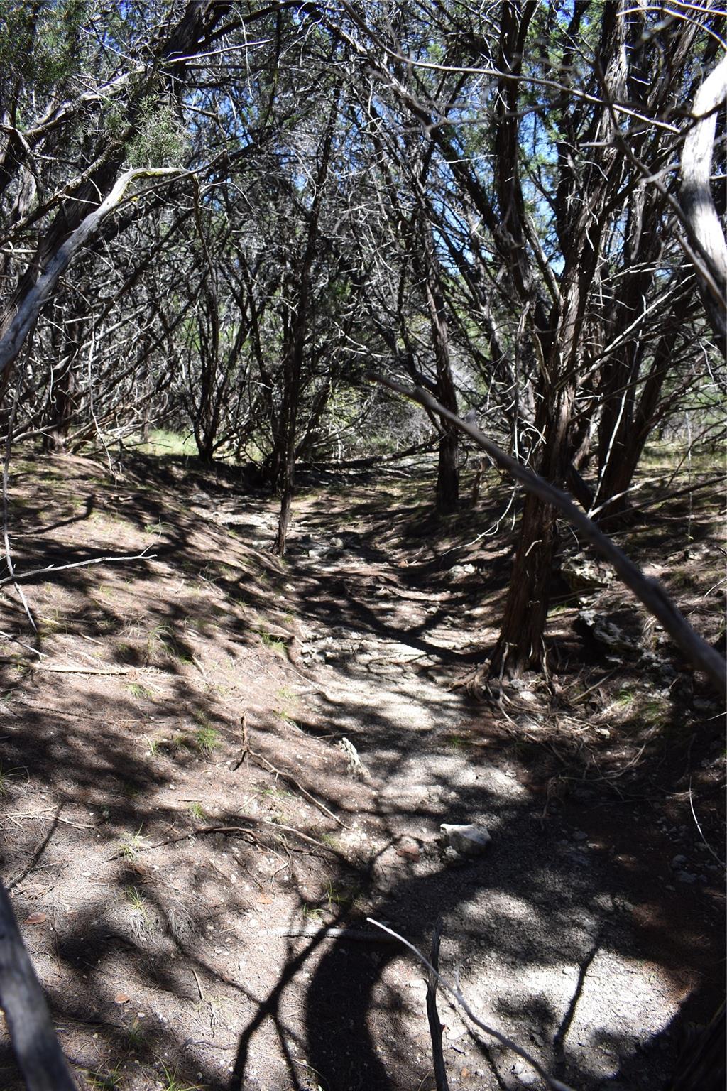 24369 Round Mountain Rd # 6, Leander, TX 78641