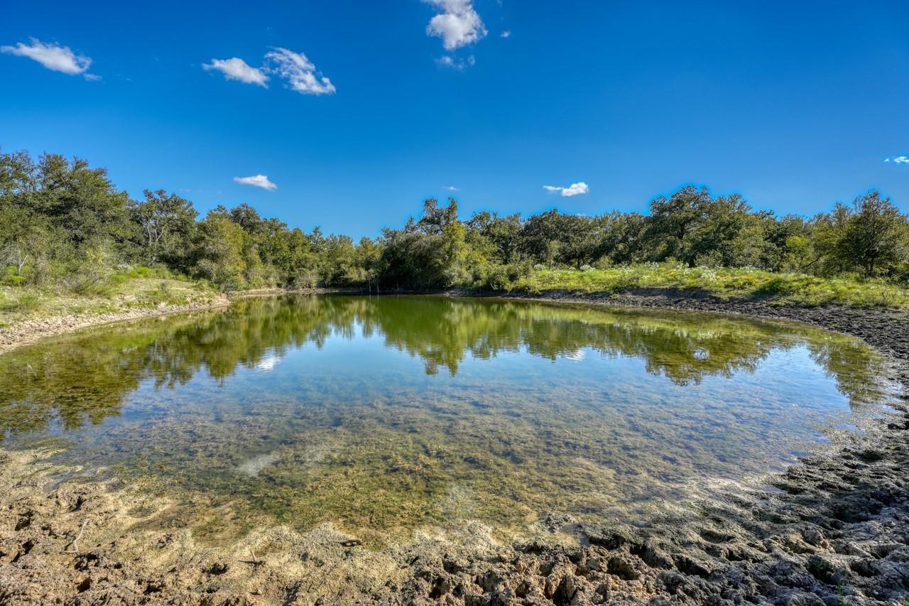 12222 N FM 487, Buckholts, TX 76518