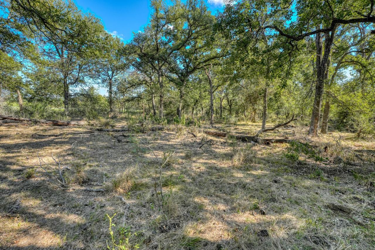 12222 N FM 487, Buckholts, TX 76518