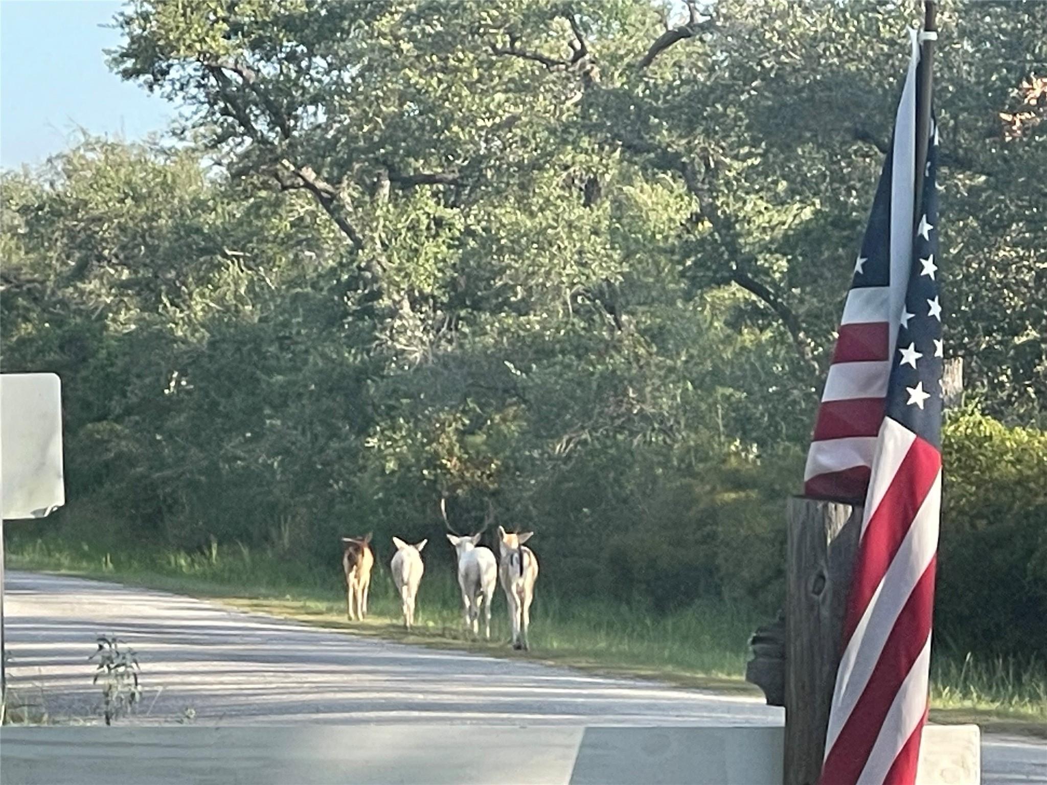 322-342 Whispering Woods Dr, Rockport, TX 78382