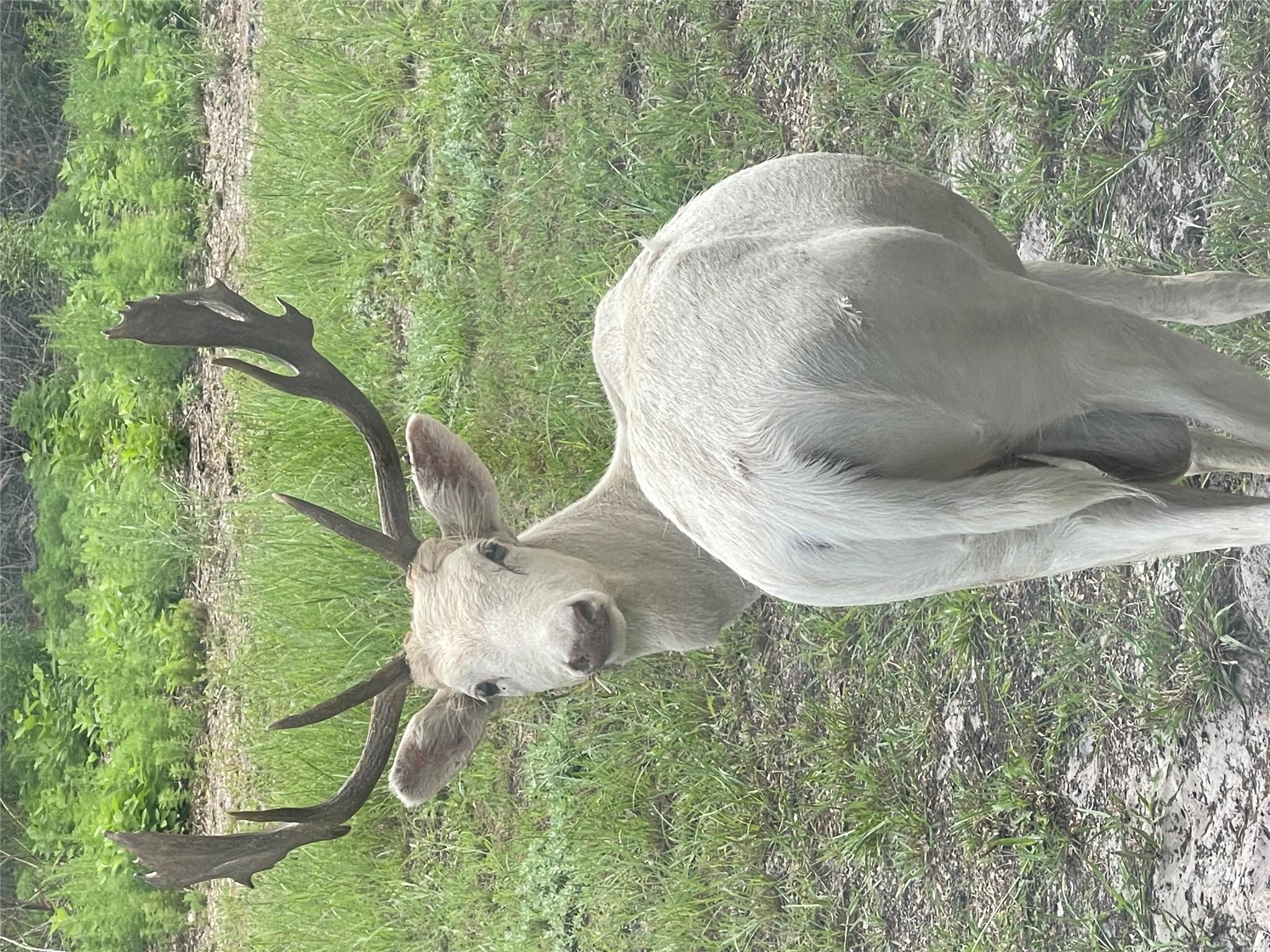 322-342 Whispering Woods Dr, Rockport, TX 78382