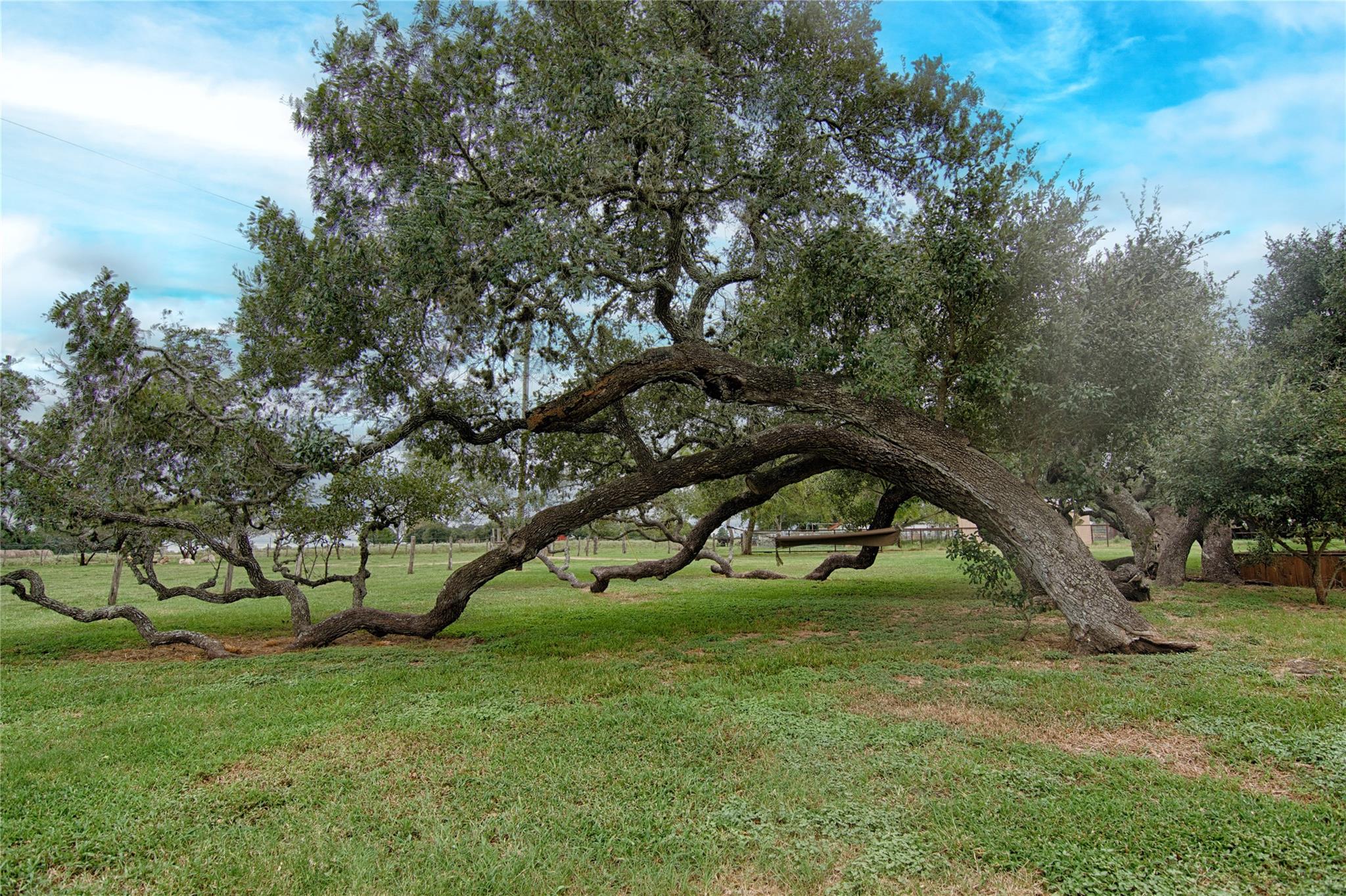 341 CR 233, Hallettsville, TX 77964