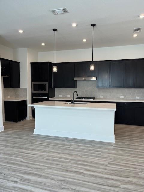 1161 Silver Dollar Trl, Georgetown, TX 78628