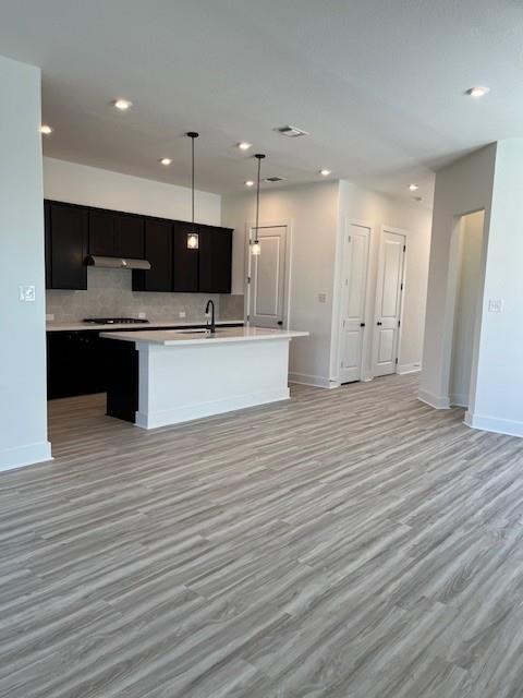 1161 Silver Dollar Trl, Georgetown, TX 78628