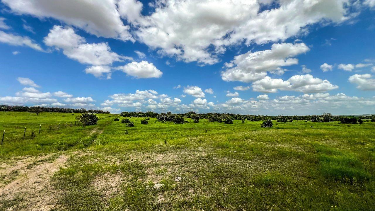 1220 County Road 225, Briggs, TX 78608