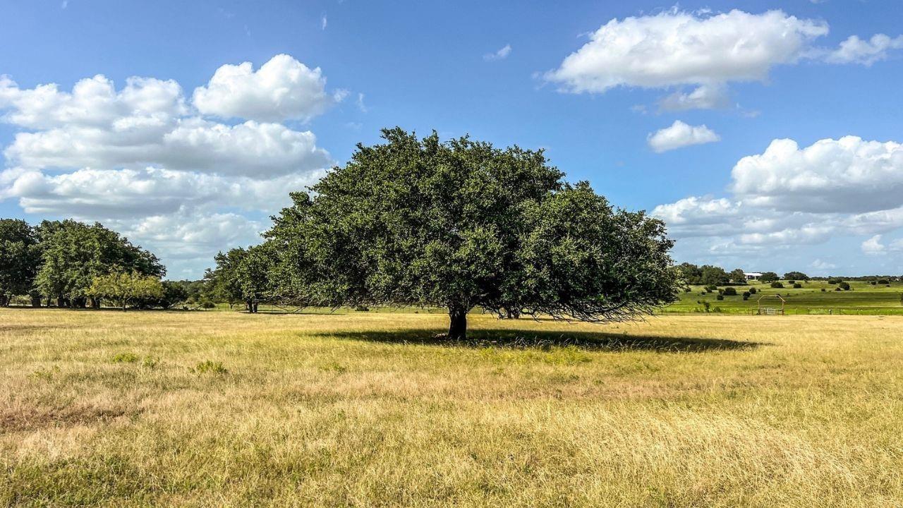 1220 County Road 225, Briggs, TX 78608