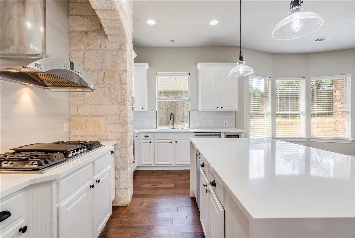 175 Blazing Star Dr, Austin, TX 78737