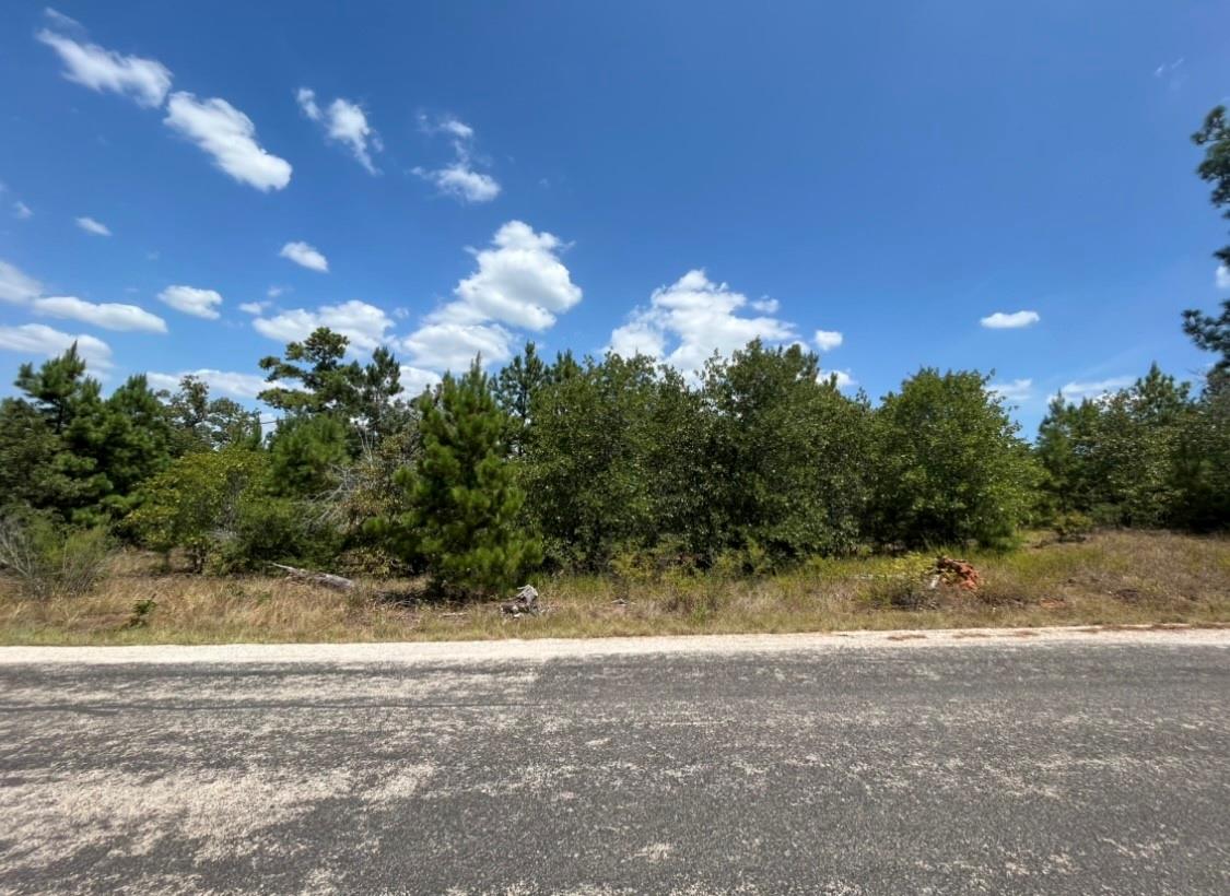 TBD PINE TREE Loop, Bastrop, TX 78602