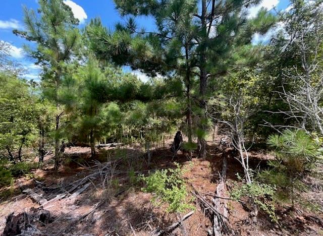 TBD PINE TREE Loop, Bastrop, TX 78602