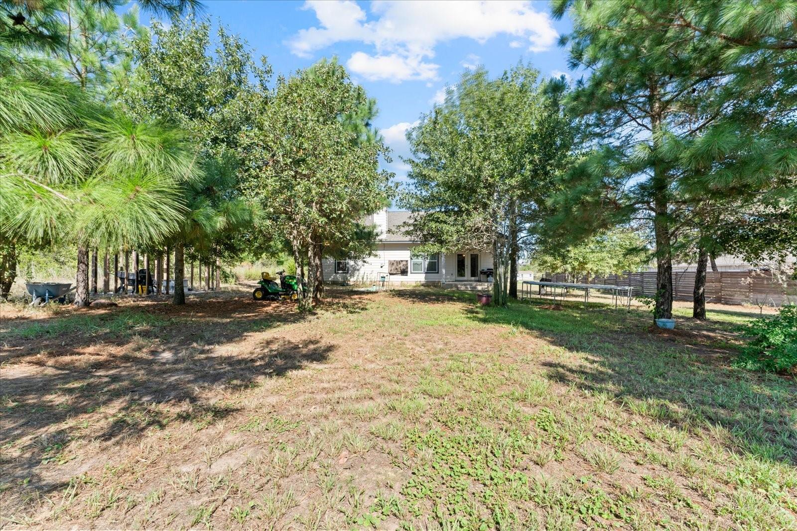 113 Tonkawa Ln, Paige, TX 78659