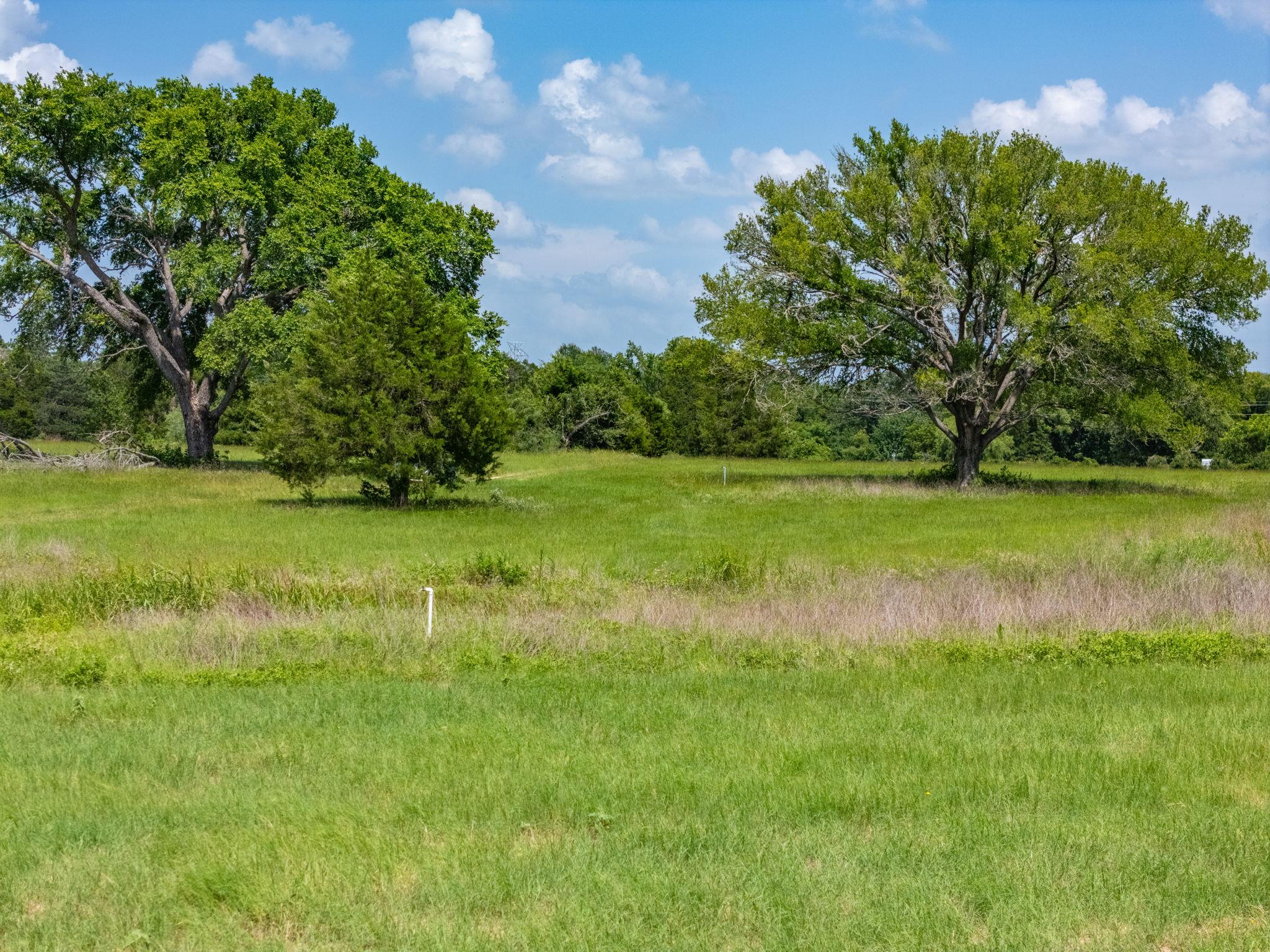 1500 County Road 481, Thrall, TX 76578