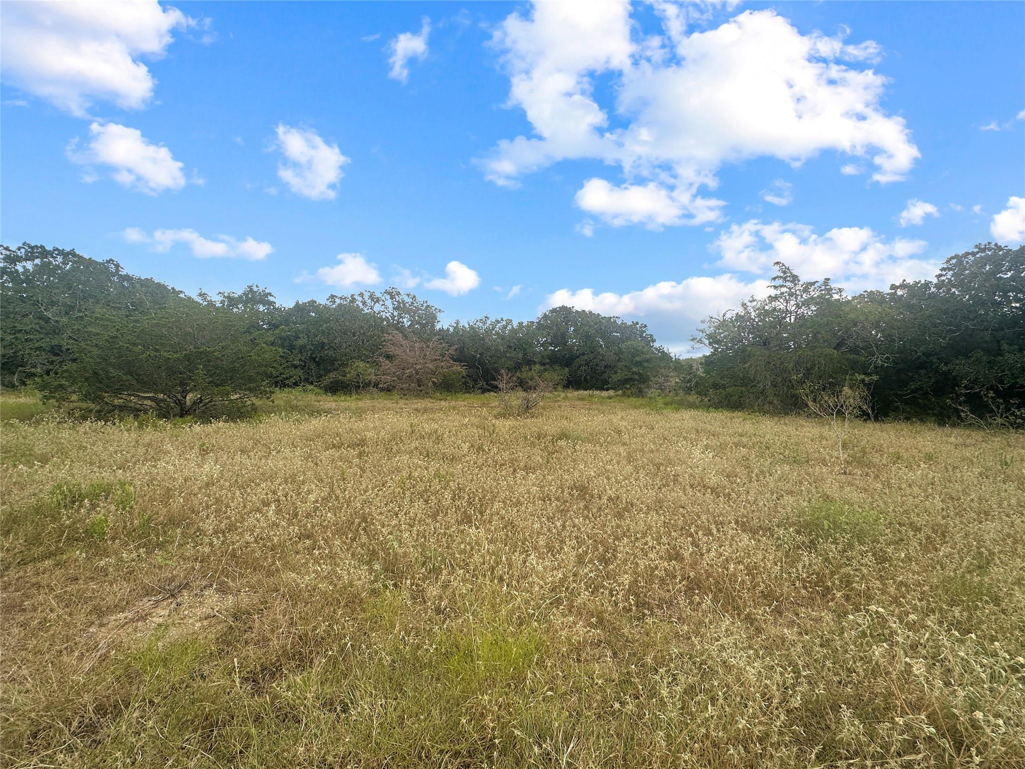 1345 Davis Rd, Muldoon, TX 78949