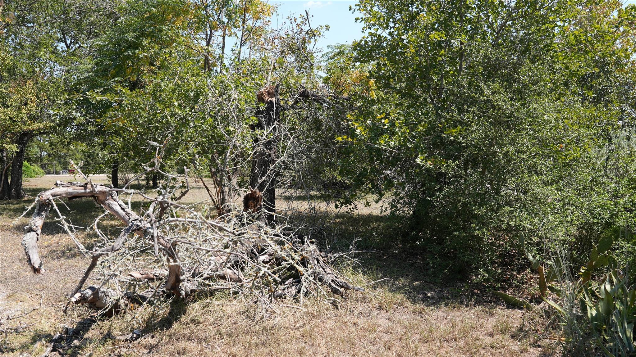 203 River Oaks Dr, Cedar Creek, TX 78612