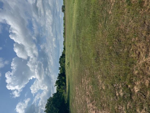 0 CR 320, Rockdale, TX 76567