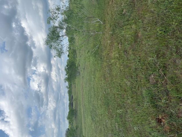 0 CR 320, Rockdale, TX 76567