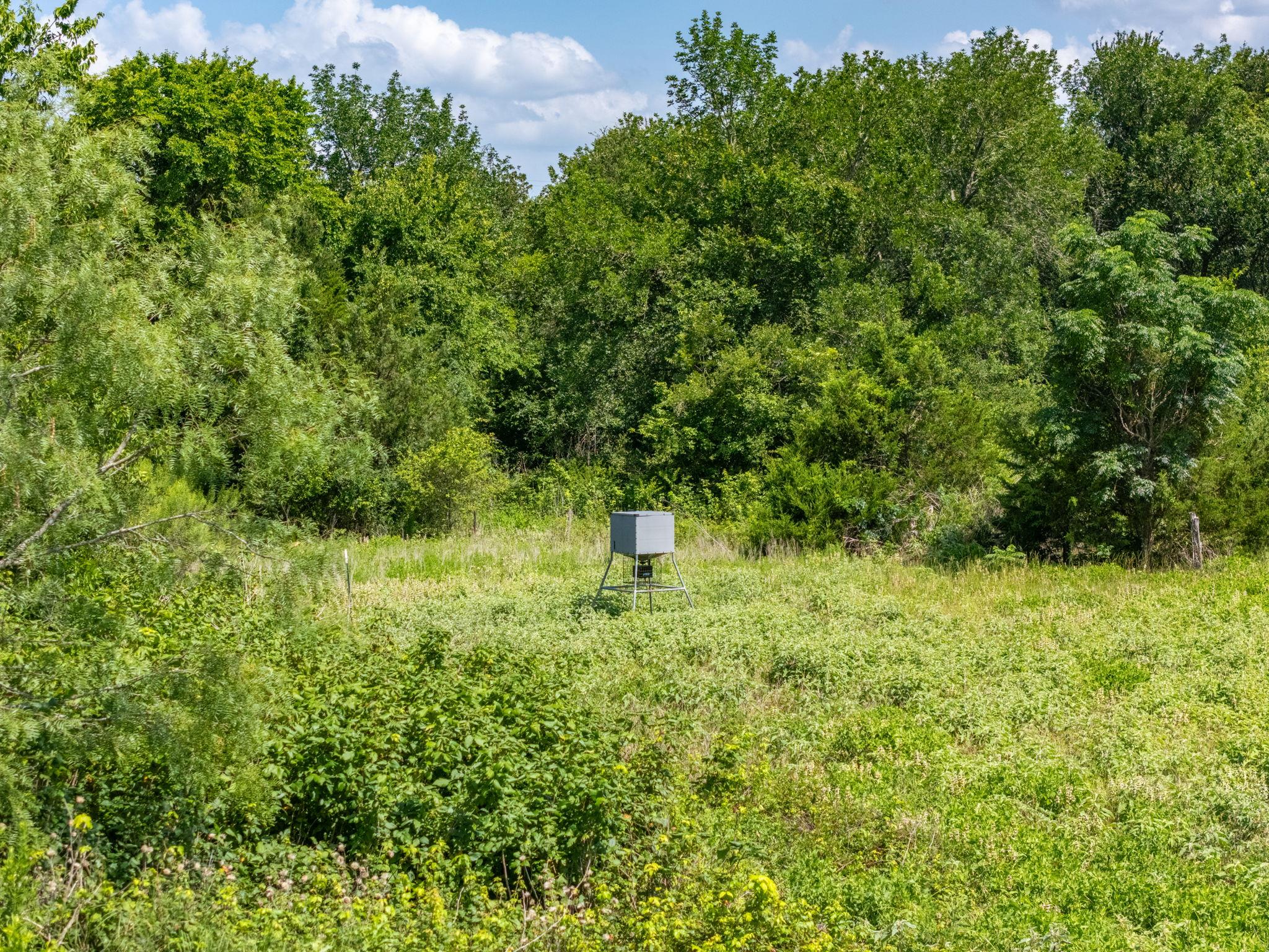 1500 County Road 481, Thrall, TX 76578