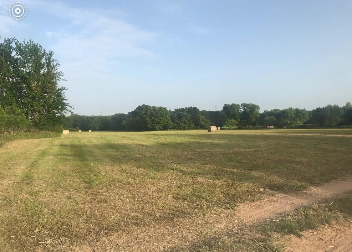 1500 County Road 481, Thrall, TX 76578