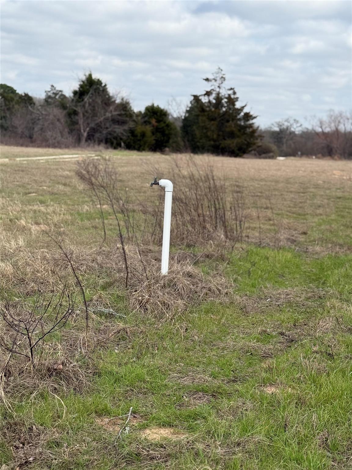 1500 County Road 481, Thrall, TX 76578