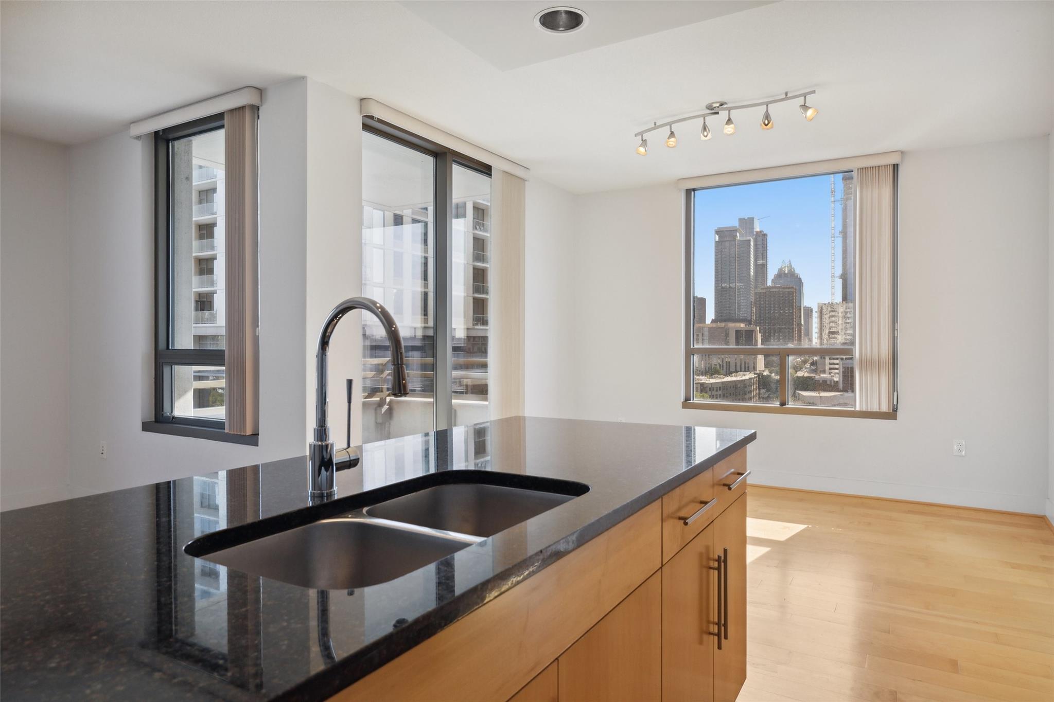 300 Bowie St # 1101, Austin, TX 78703