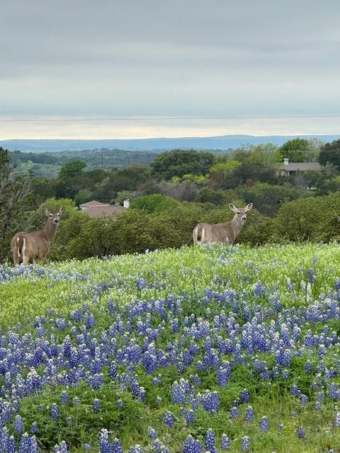 124 Apache Tears Dr, Horseshoe Bay, TX 78657