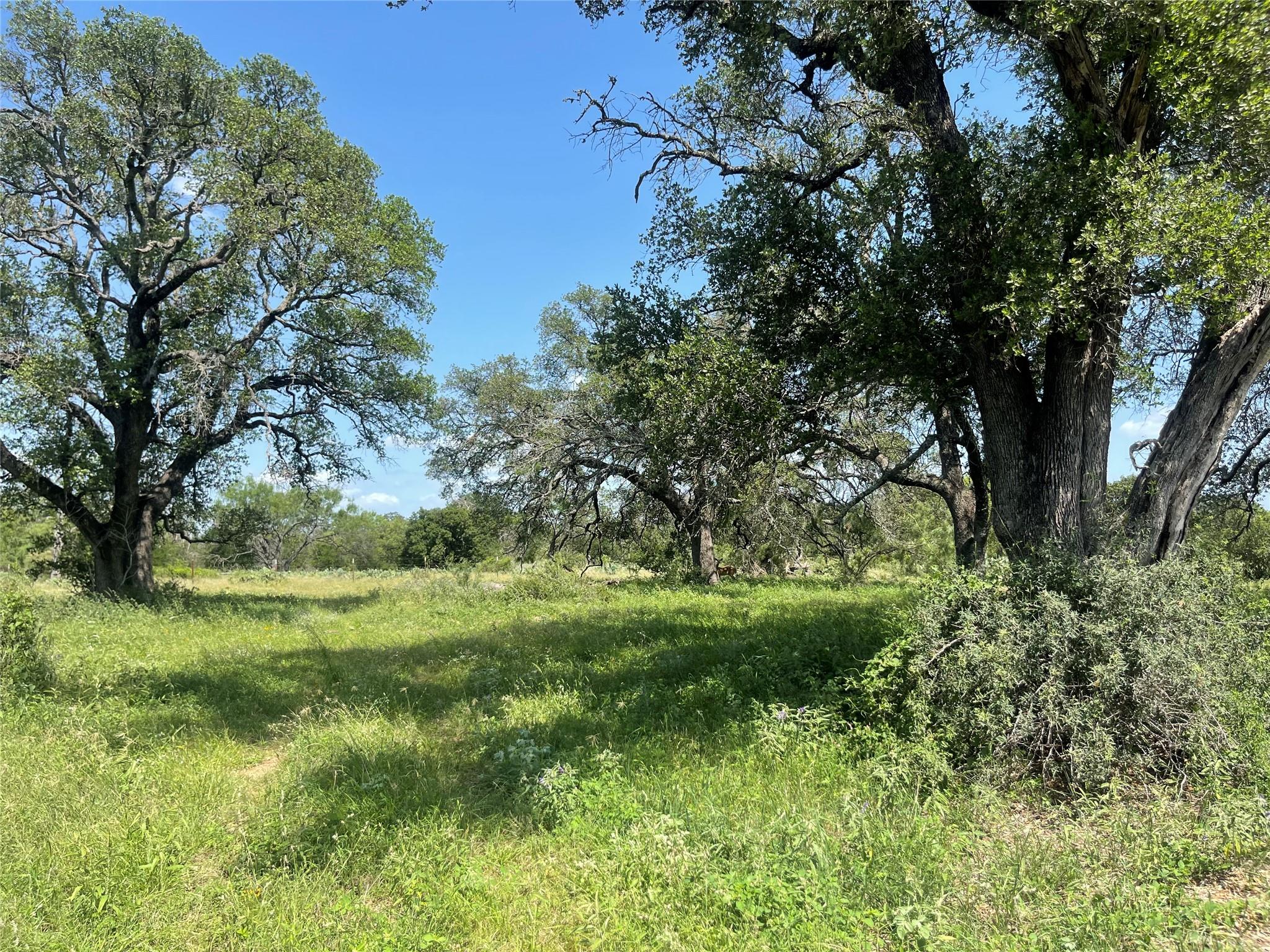 TBD Fm 1980, Marble Falls, TX 78654