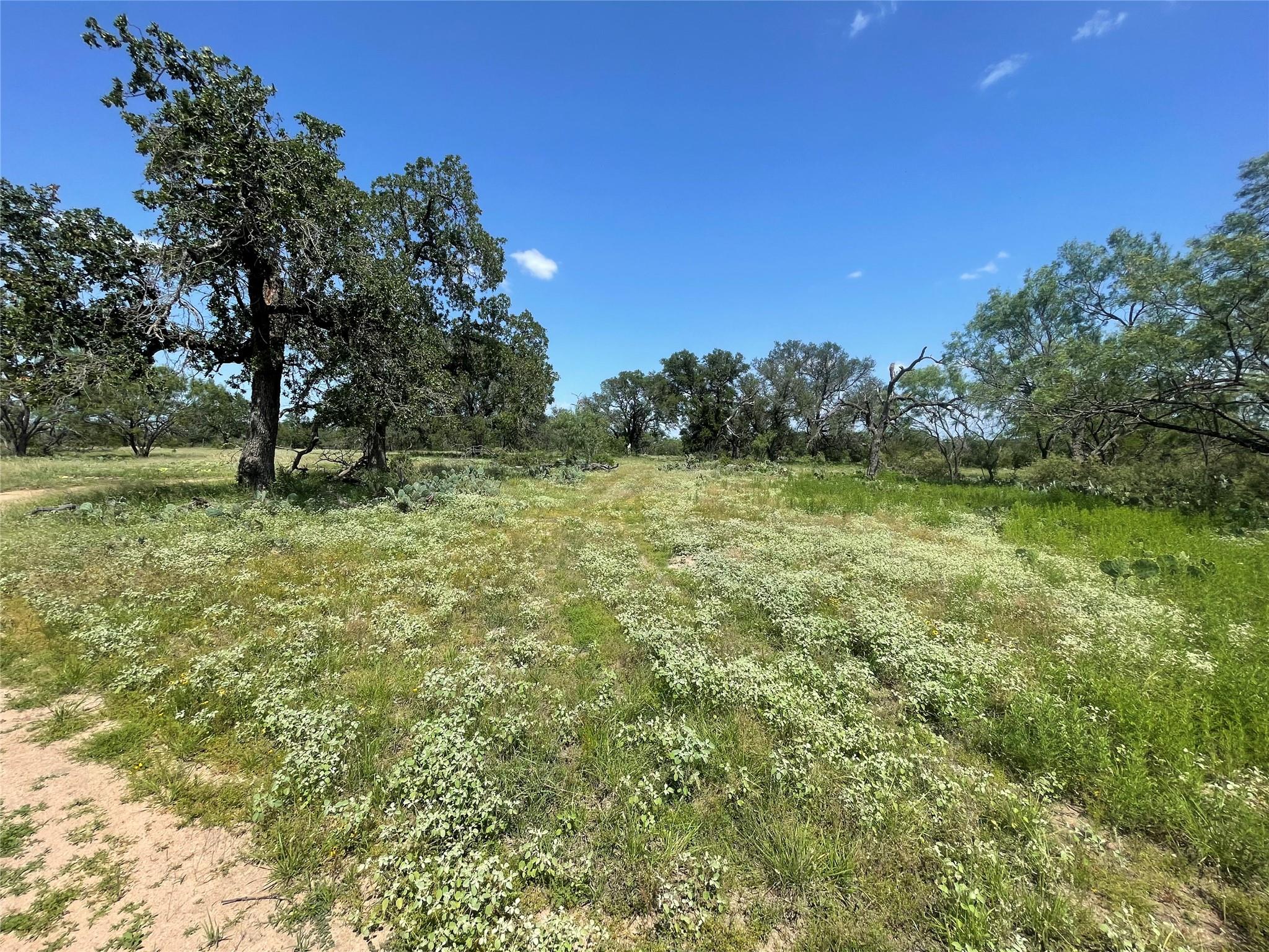 TBD FM 1980 tract 1, Marble Falls, TX 78654