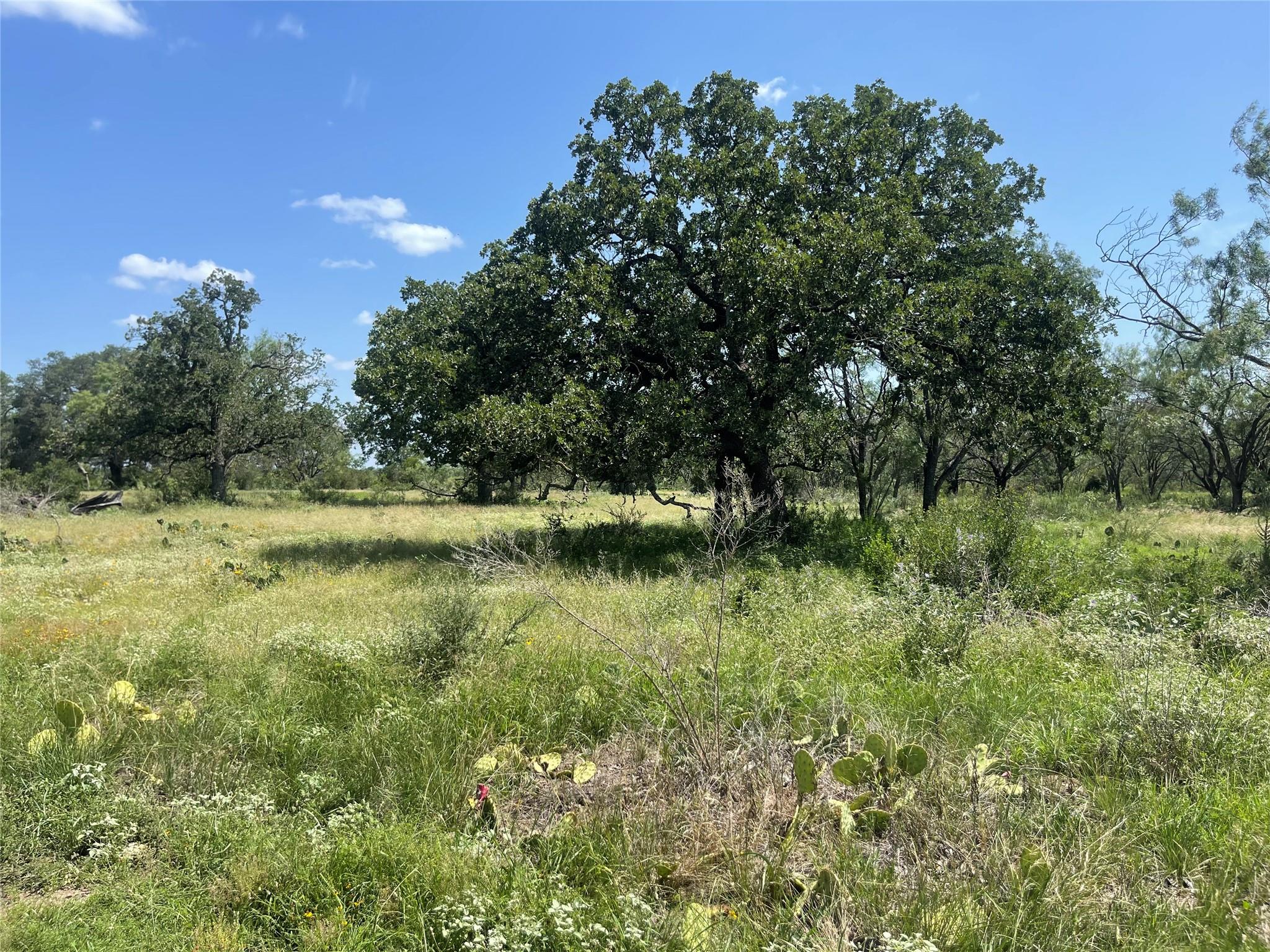 TBD FM 1980 tract 1, Marble Falls, TX 78654