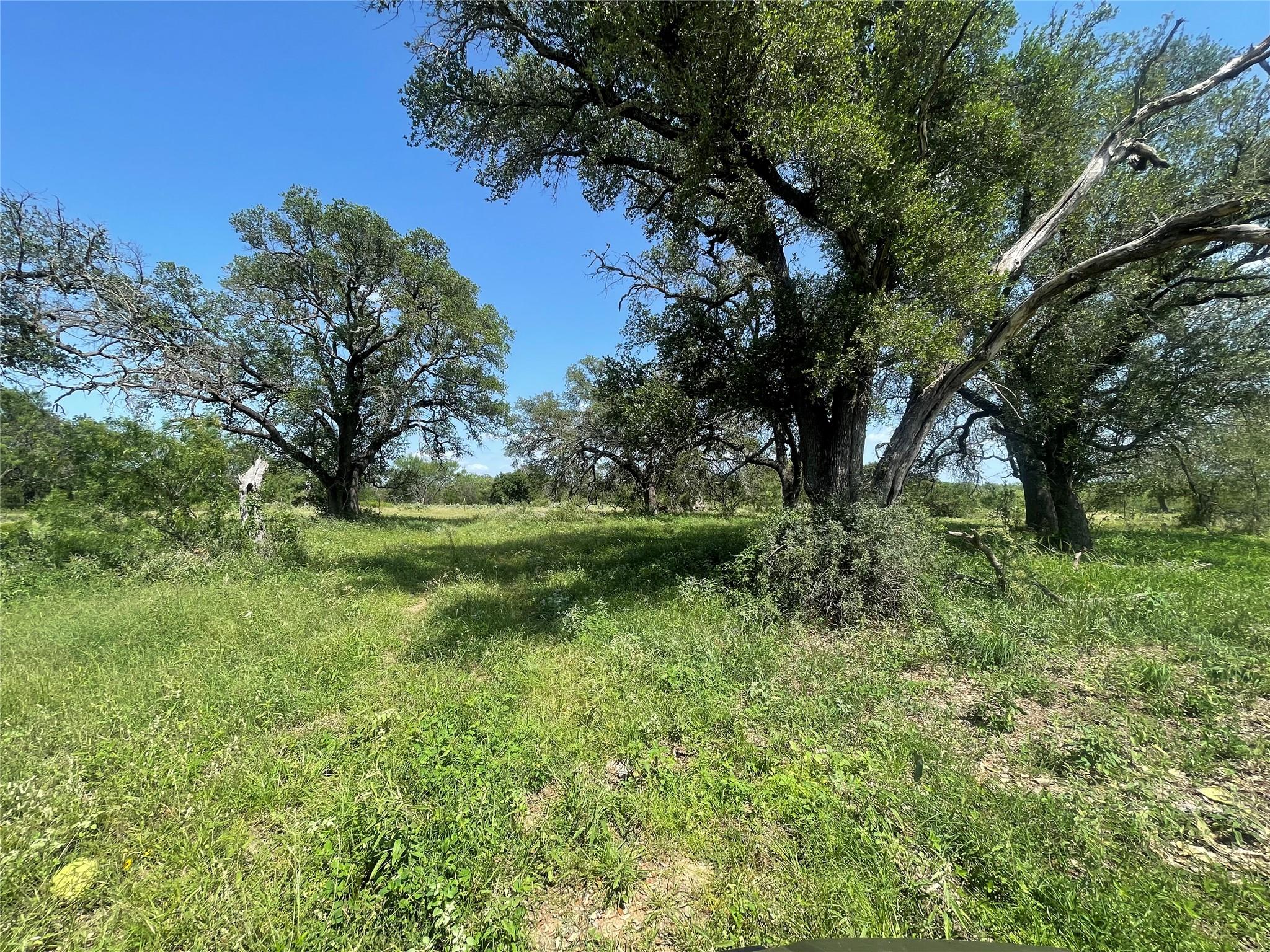 TBD FM 1980 tract 1, Marble Falls, TX 78654