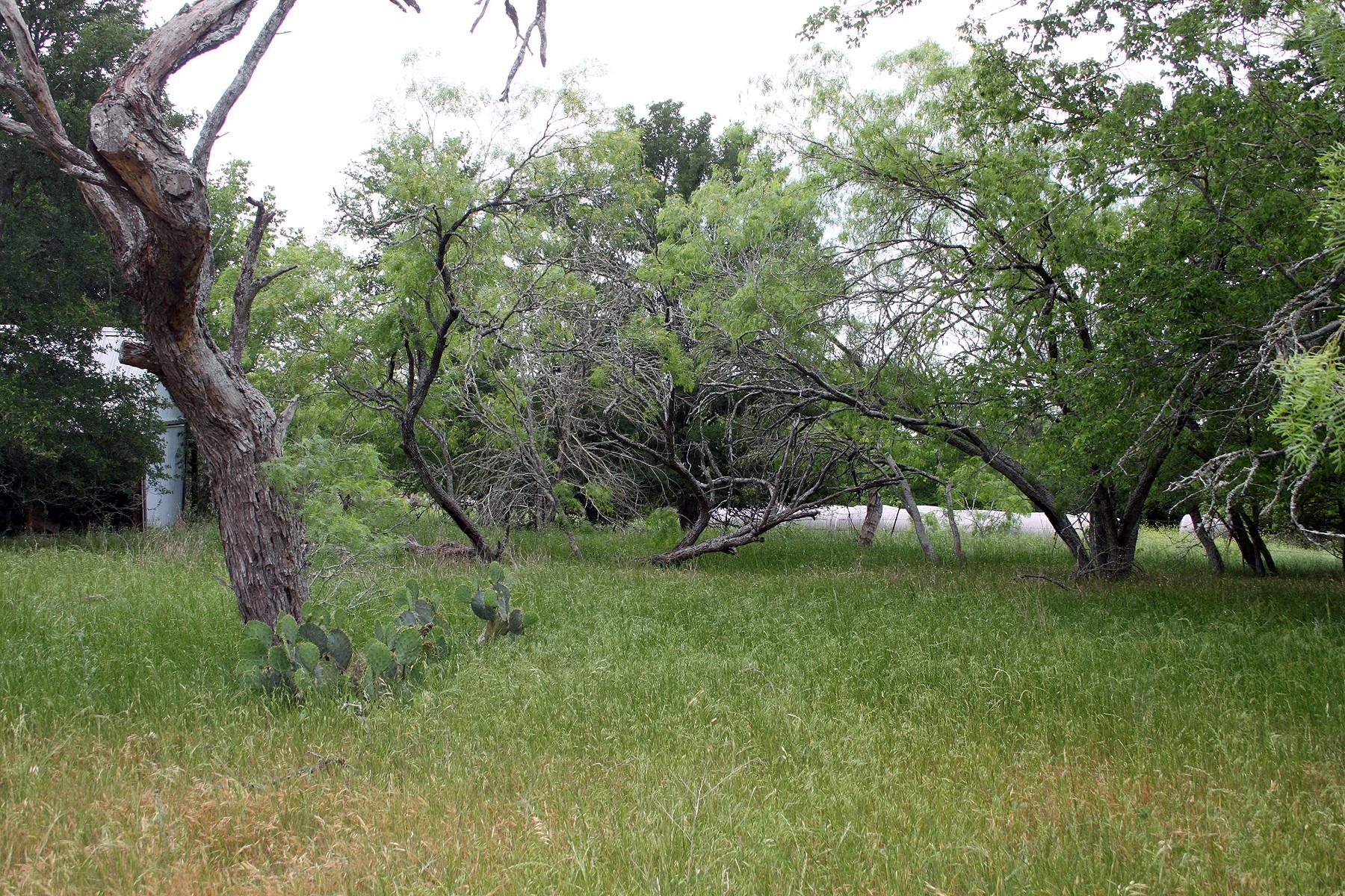 7887 Pettytown Rd, Red Rock, TX 78662