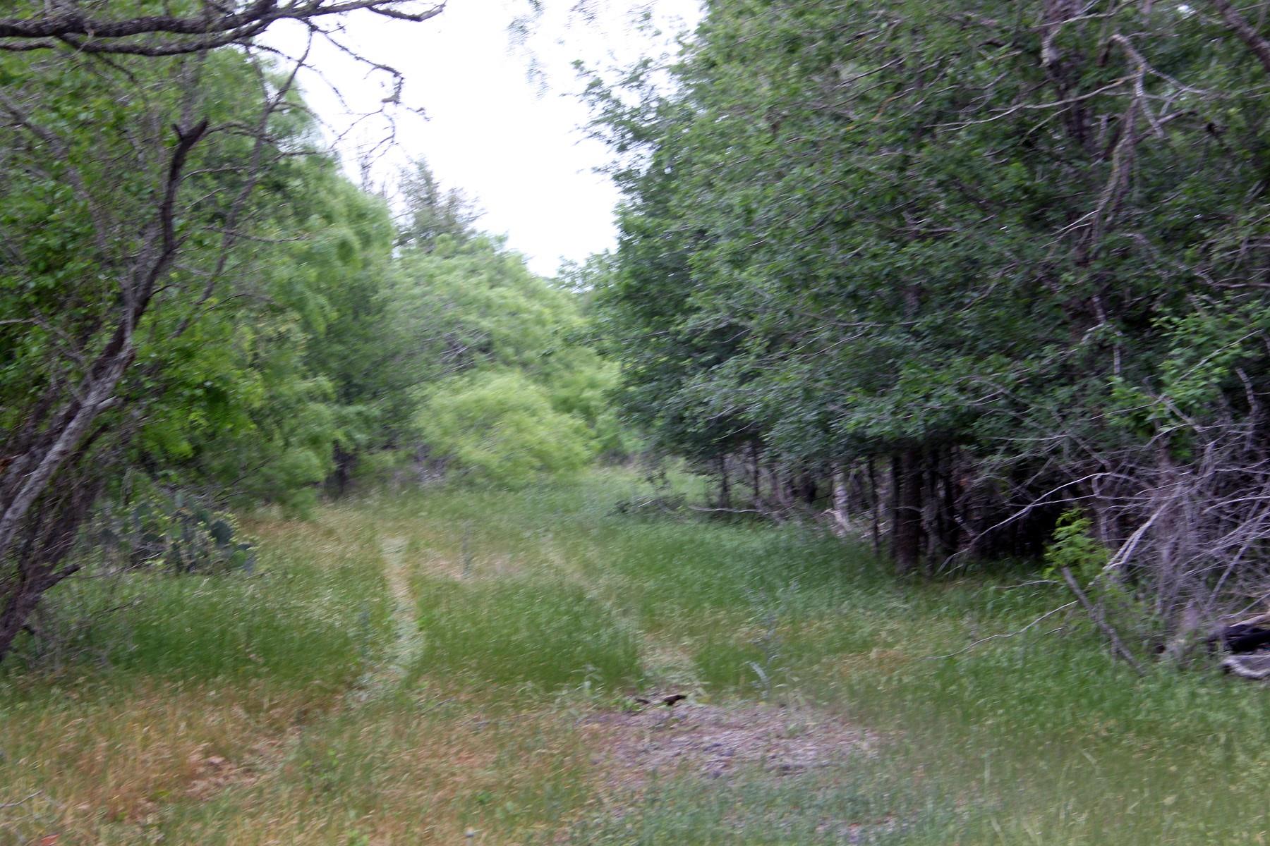 7887 Pettytown Rd, Red Rock, TX 78662
