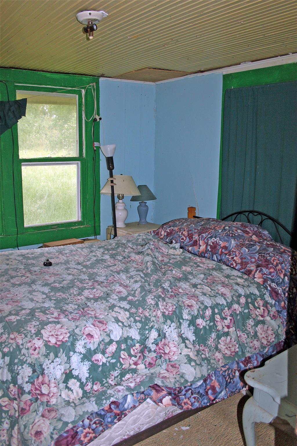 7887 Pettytown Rd, Red Rock, TX 78662
