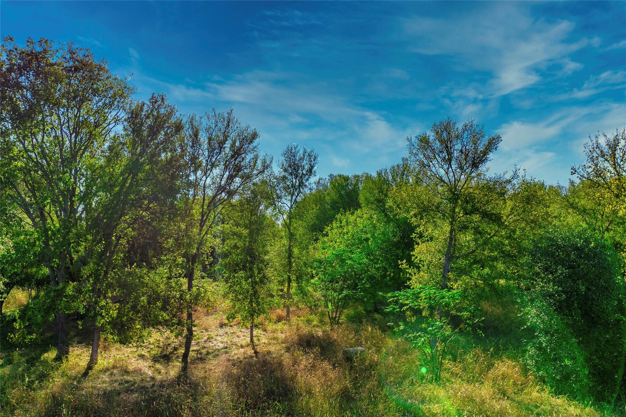 2006B Wilson St, Bastrop, TX 78602