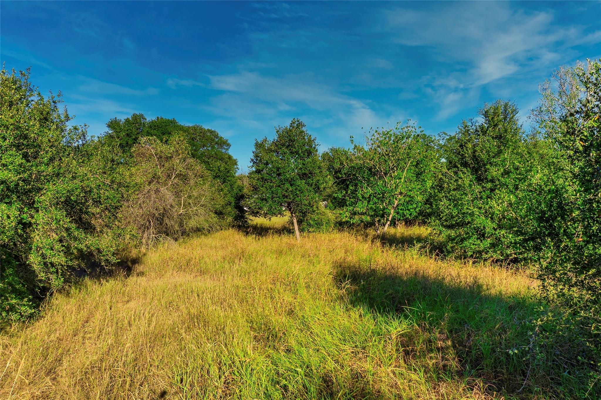 2006B Wilson St, Bastrop, TX 78602