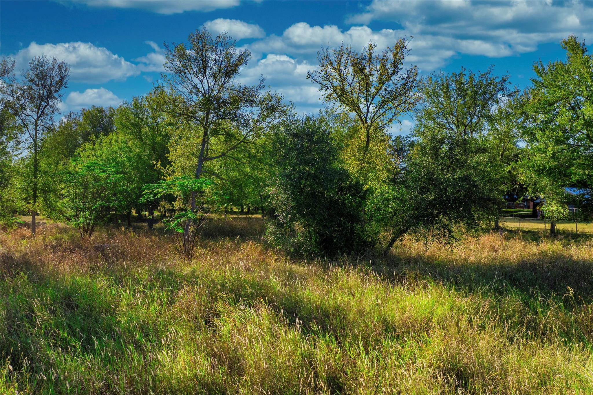 2006B Wilson St, Bastrop, TX 78602