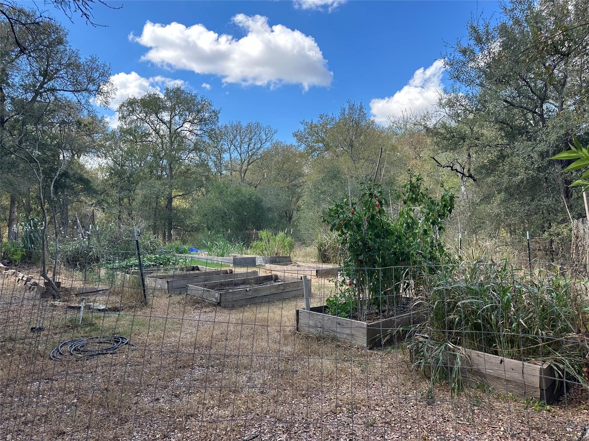 133 Concho Dr, Cedar Creek, TX 78612