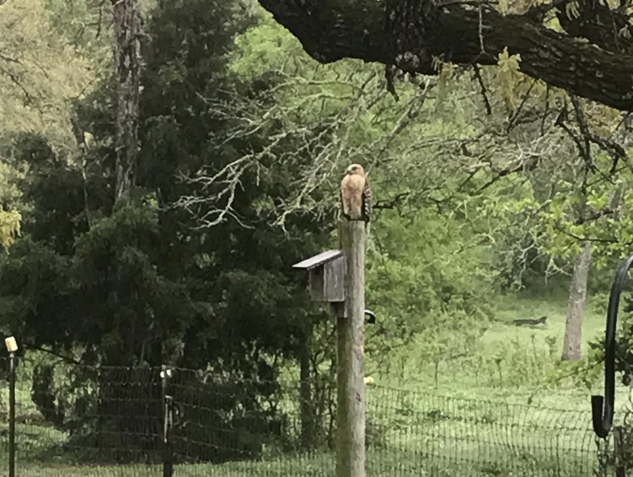 298 Jenkins Rd, Cedar Creek, TX 78612