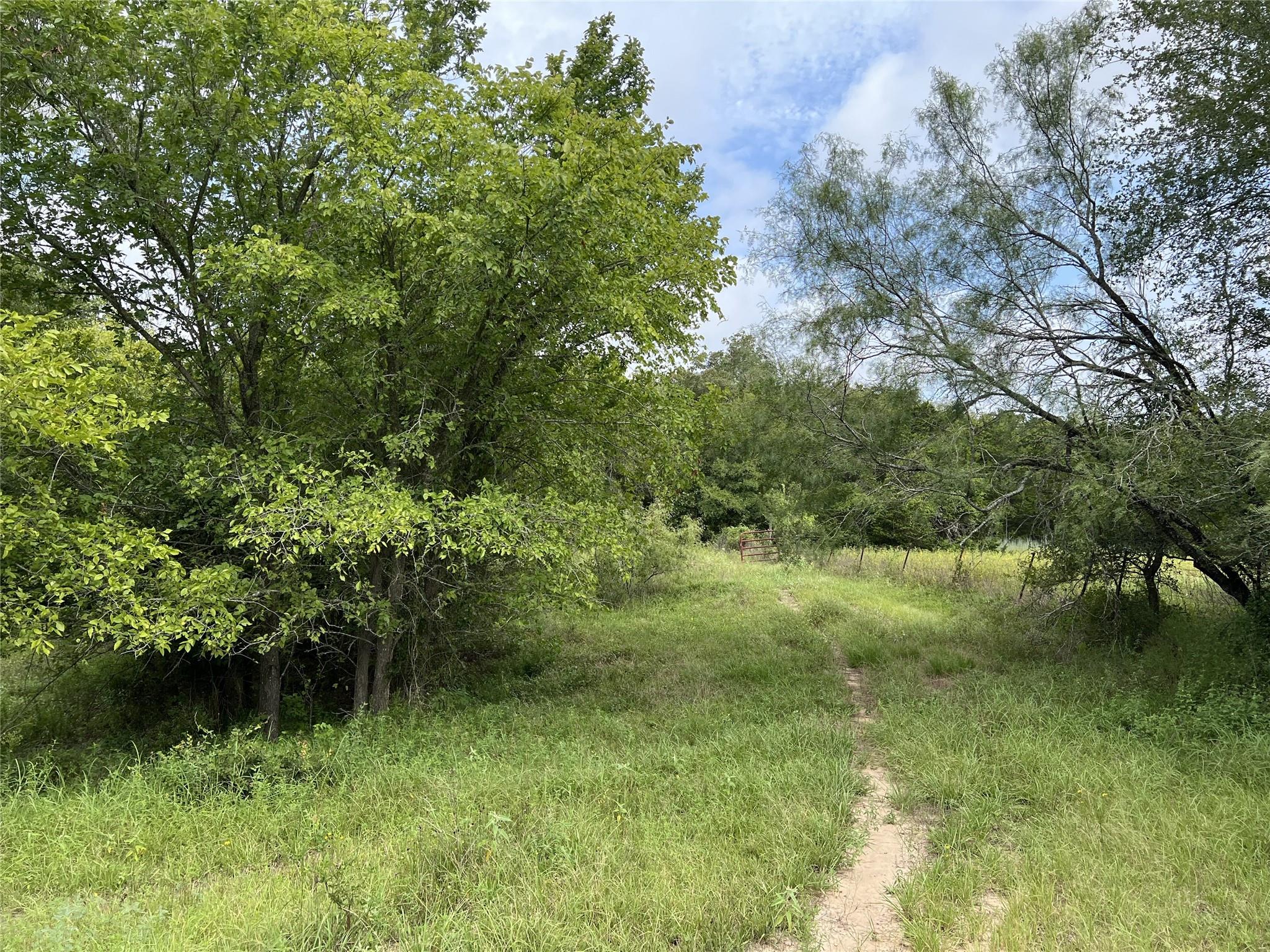 298 Jenkins Rd, Cedar Creek, TX 78612