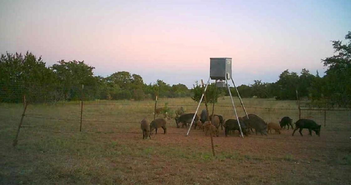 7800 County Road 210, Bertram, TX 78605